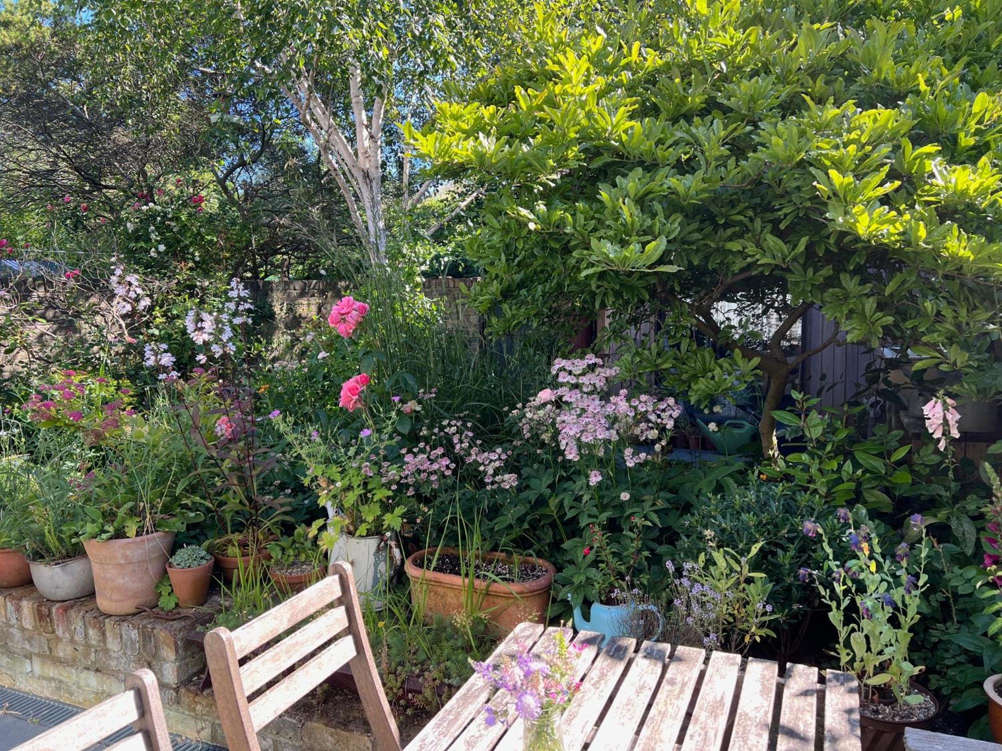 Bright And Elegant 2 Bedroom Flat, Near Notting Hill Londen Buitenkant foto