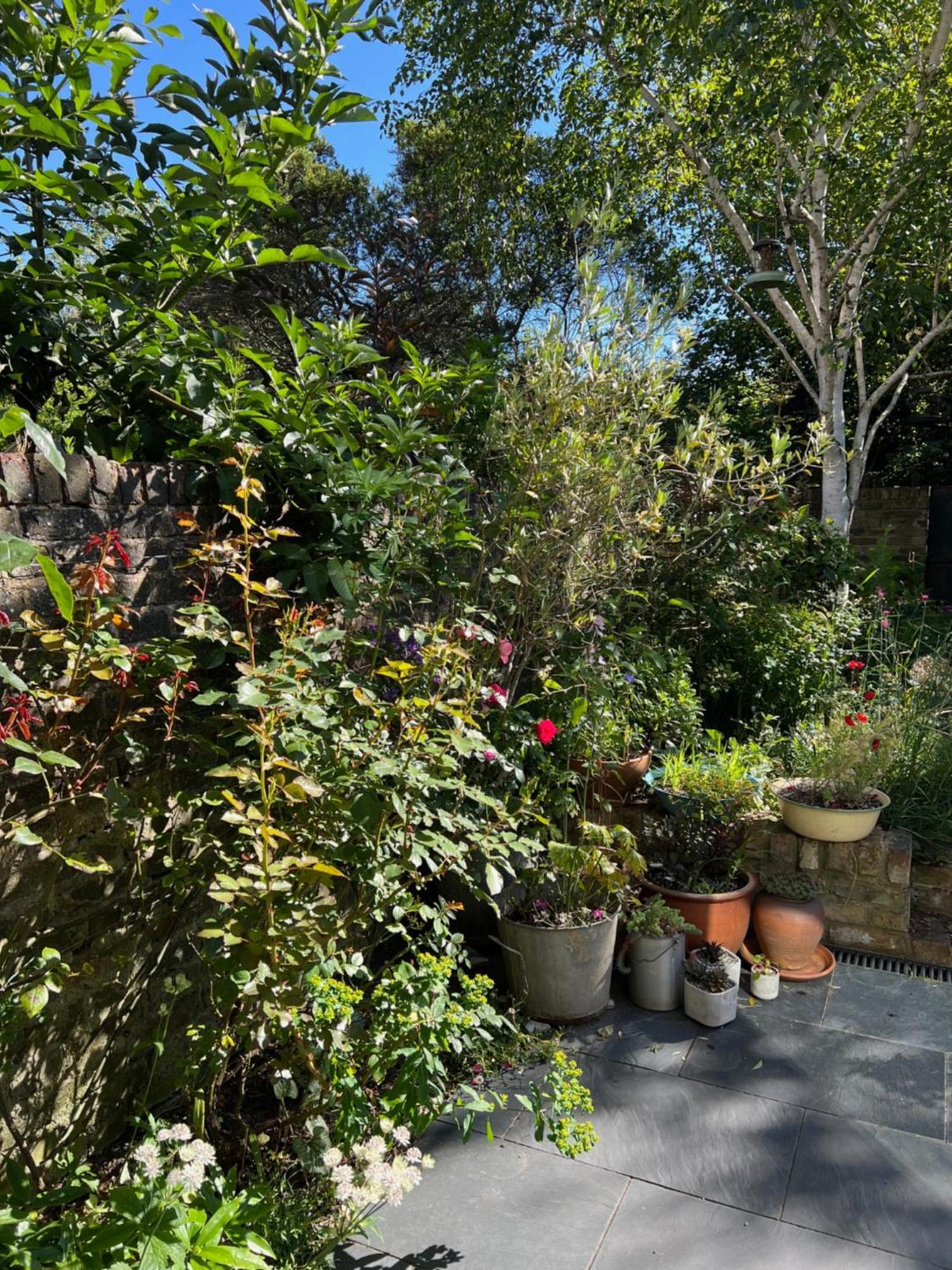 Bright And Elegant 2 Bedroom Flat, Near Notting Hill Londen Buitenkant foto